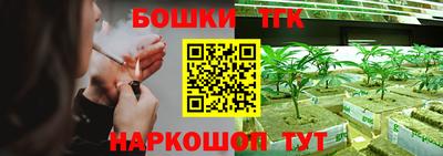 мдпв Нальчик