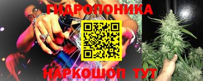 мдпв Нальчик