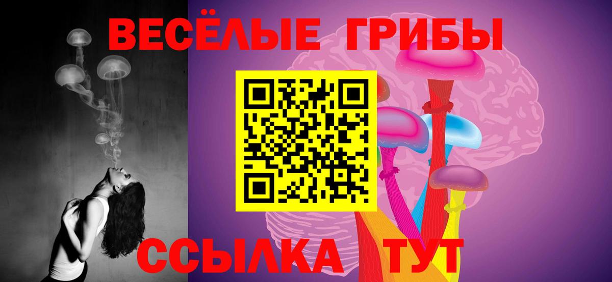 Галлюциногенные грибы ЛСД Рубцовск